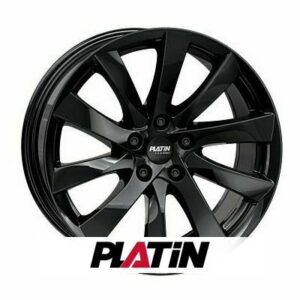 Tesla Model 3 - 18"- Platin P106 - Triangle EffeX