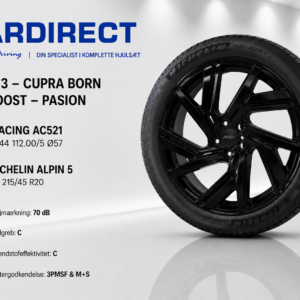 VW ID.3 - Cupra Born 20" Boost - Pasion - Avus Racing / Michelin Pilot Alpin 5