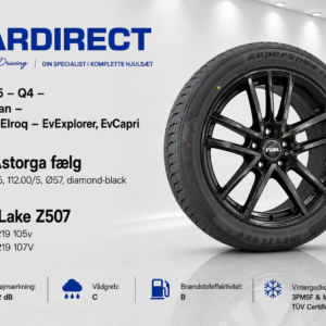 VW/Audi /Cupra/Skoda/ Ford - 19" Rial / WestLake